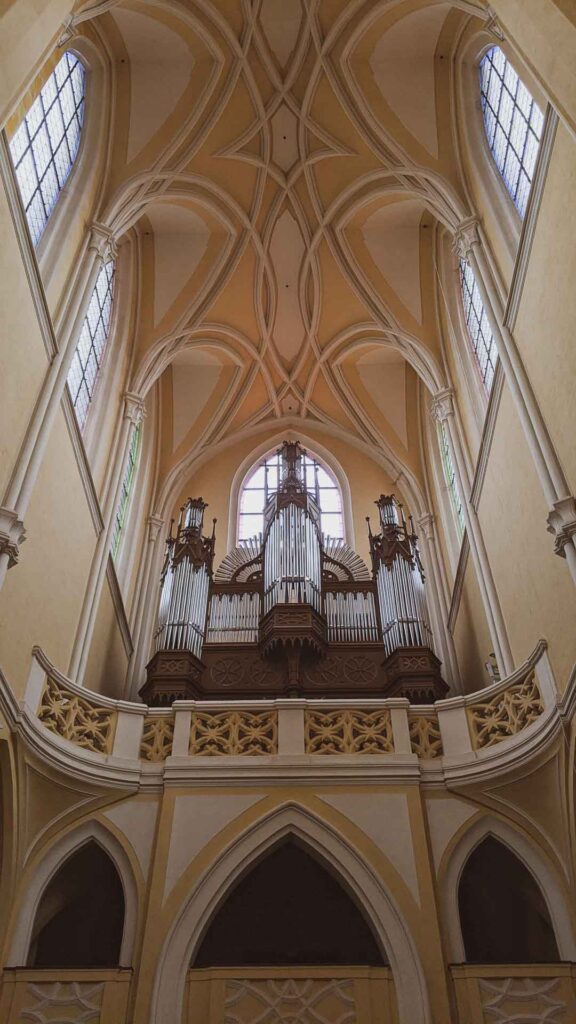 The gorgeous organ at the Cathedral of Assumption of Our Lady and St. John the Baptist