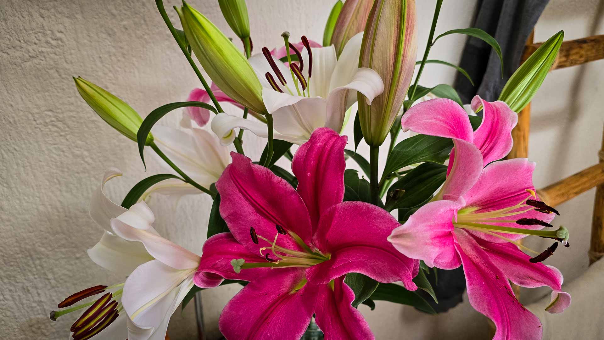 A close-up of a bouquet of pink lilies with long stamens and green leaves, illuminated by warm light against a neutral background.